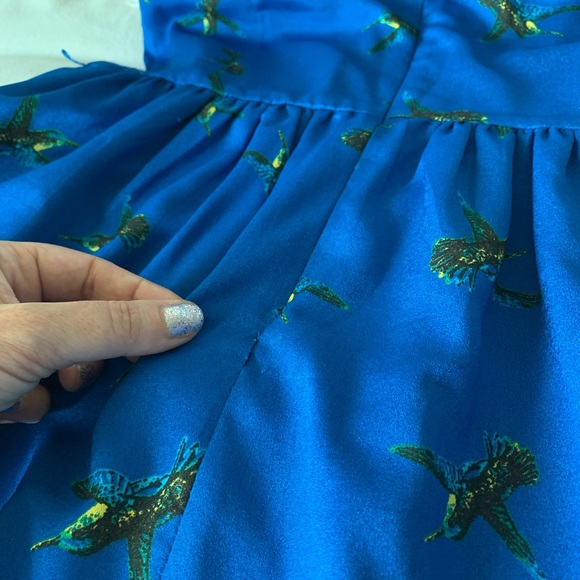 Kensie Blue with Sparrow Print Skater Dress - Picture 9 of 12